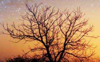 Cryptocurrency Market Analysis: Unpacking the Future & Unlocking Potential