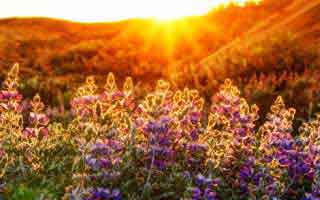 Cryptocurrency Market Analysis: Unpacking the Future & Unlocking Potential